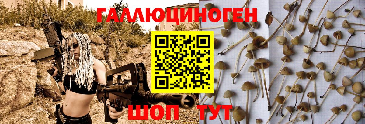 Псилоцибиновые грибы Cubensis  Вход с VPN  Менделеевск 